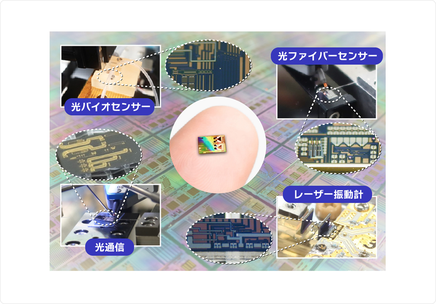 市場領域イメージ