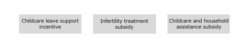 Key System Enhancements for Fiscal Year 2024