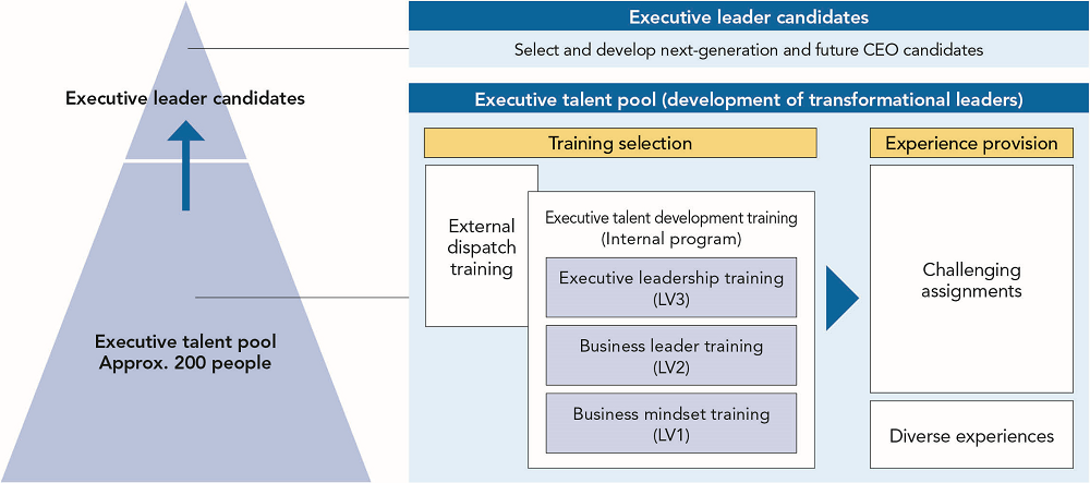 Developing Executive Talent