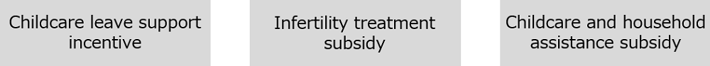 Key System Enhancements for Fiscal Year 2024