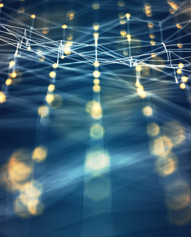 Mobile Sensor Network