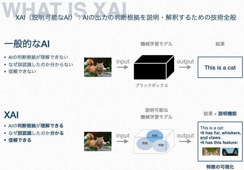 WHAT IS XAI