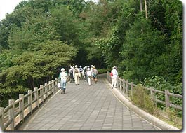 写真2