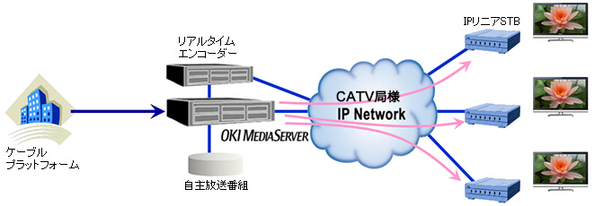 CATVのIPリニア放送の接続イメージ