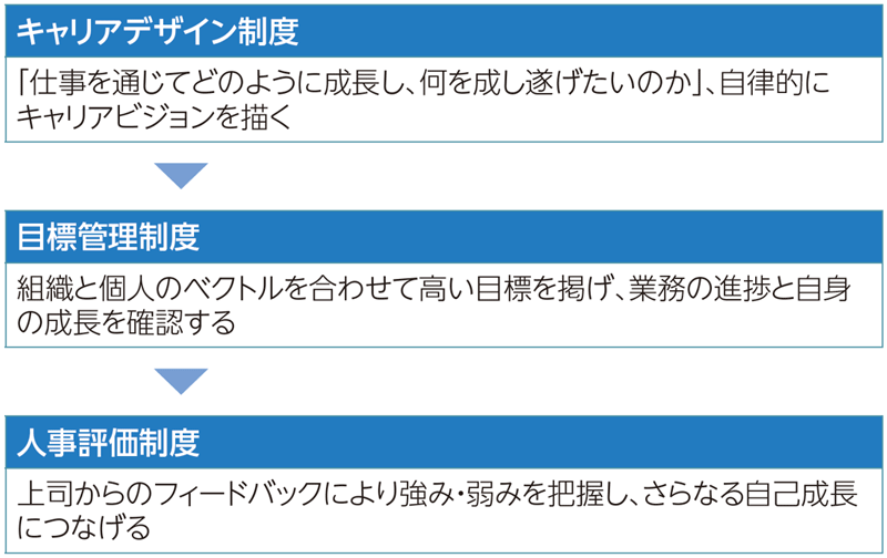 主な人事制度