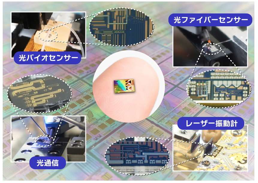 市場領域イメージ