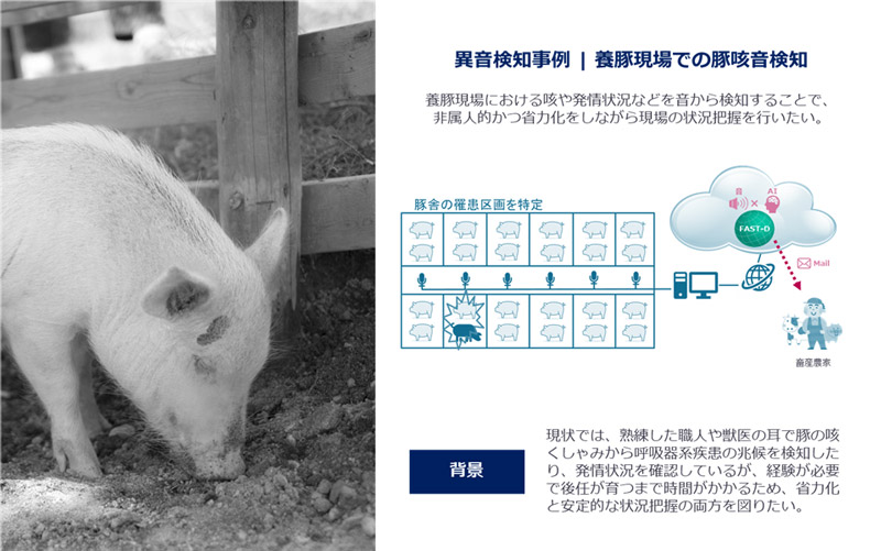 異音検知事例｜養豚現場での豚咳音検知