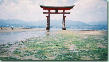 広島県厳島神社周辺の海岸を清掃しました 社会貢献活動 Oki