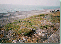photo03