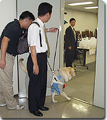 photo03