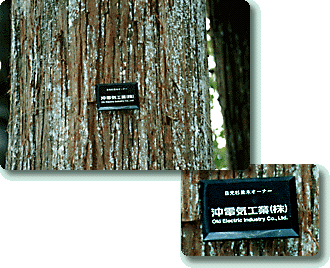 photo02