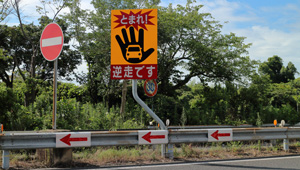 逆走