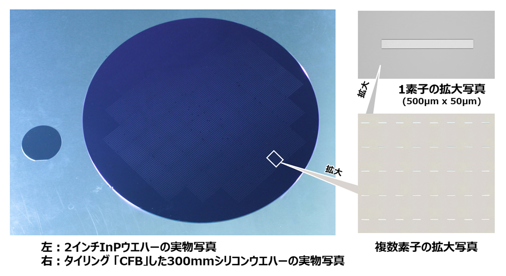 左：2インチInPウエハーの実物写真、右：タイリング「CFB」した300mmシリコンウエハーの実物写真