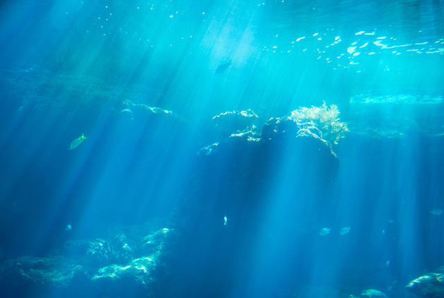 海洋｜商品・サービス｜OKI