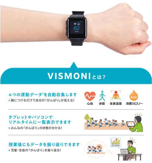 VISMONIとは?