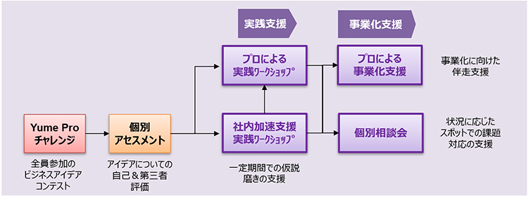 2023年度の実践支援プログラムの写真