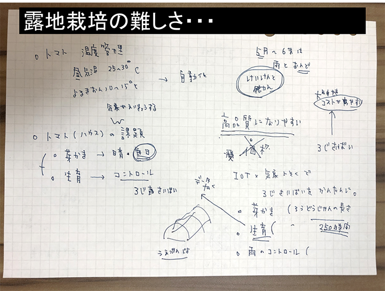 露地栽培の難しさ