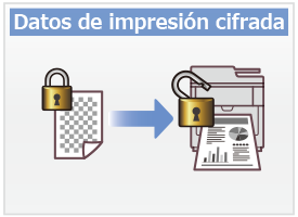 Datos de impresión cifrada