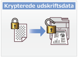 Krypterede udskriftsdata