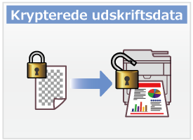 Krypterede udskriftsdata