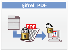 Şifreli PDF
