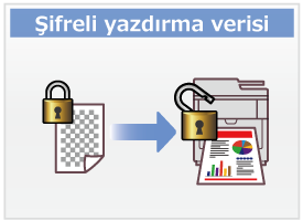 Şifreli yazdırma verisi